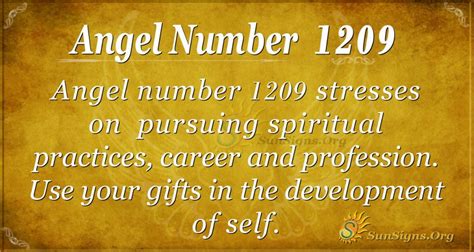 1209 meaning twin flame|1209 Angel Number Meaning, Twin Flame, & Love